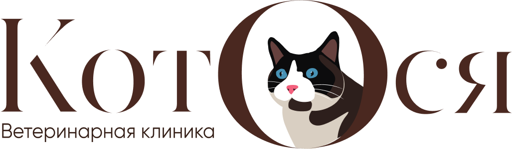 КотОся