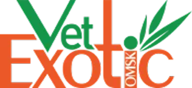 VetExotic