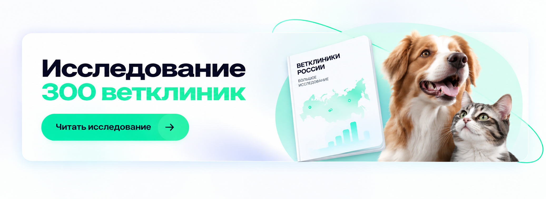 Большое исследование 300 ветклиник России — читать